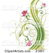 Pink Flowers Blooming on Curly Green Plants over a White Background