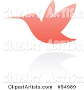 Pink Hummingbird Logo Design or App Icon - 2