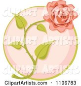 Pink Rose over a Circle