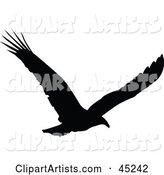 Profiled Black Soaring Eagle Silhouette