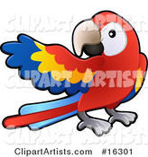 Red, Yellow and Blue Scarlet Macaw Parrot Bird (Ara Macao) with a White Circle Around Its Eye