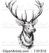 Retro Black and White Buck Deer