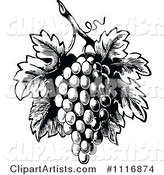 Retro Vintage Black and White Bunch of Grapes with Leaves 1