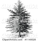 Retro Vintage Black and White Pine Tree