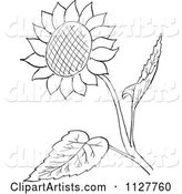 Retro Vintage Black and White Sunflower and Leaves Line Drawing