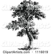 Retro Vintage Black and White Tree 7