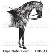 Retro Vintage Engraved Horse Anatomy of a Reined Horse with Good Shoulders in Black and White