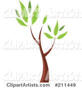 Seedling Tree