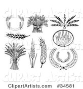 Set of Black and White Wheat Banners, Bunches, Heads and Laurels
