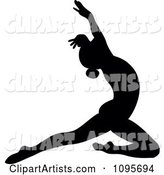 Silhouetted Elegant Ballerina Dancing 3