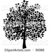 Silhouetted Tree in Black, with Leaves Covering the Branches