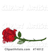Single Red Rose on a Long Thorny Stem