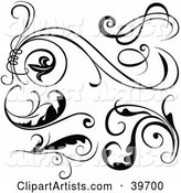 Six Black and White Scroll Designs