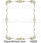 Stationery Border of White Daisy Flowers with Yellow Centers Framing a White Background