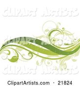Three Green Waves and Leafy Vines with Fading Texturing on a White Background