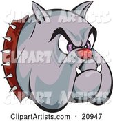 Tough Bulldogs Head with a Red Nose, Purple Eyes, Fangs and a Spiked Collar, over a White Background