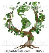 Tree with Branches Growing in the Shape of the Earth with the America's Featured