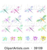 Twelve Colorful Dragonflies and Six Flowers