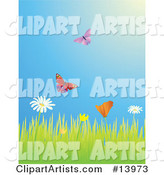 Two Butterflies Flying over a Meadow of Daisy and Poppy Wildflowers