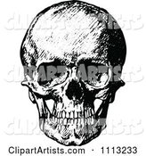 Vintage Black and White Human Skull 1