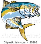 Yellowtail Fish