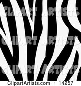 Zebra Animal Print Background with a Black and White Stripes Pattern